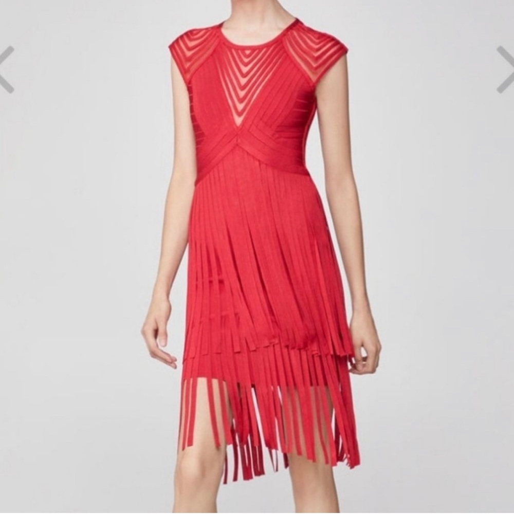 Herve Leger Fringe Dress